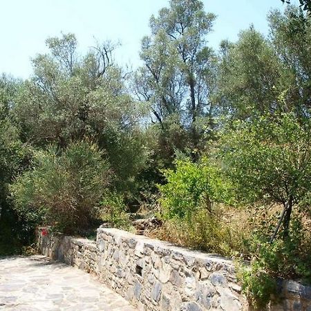 Theodhóra Aposperitis Villas מראה חיצוני תמונה